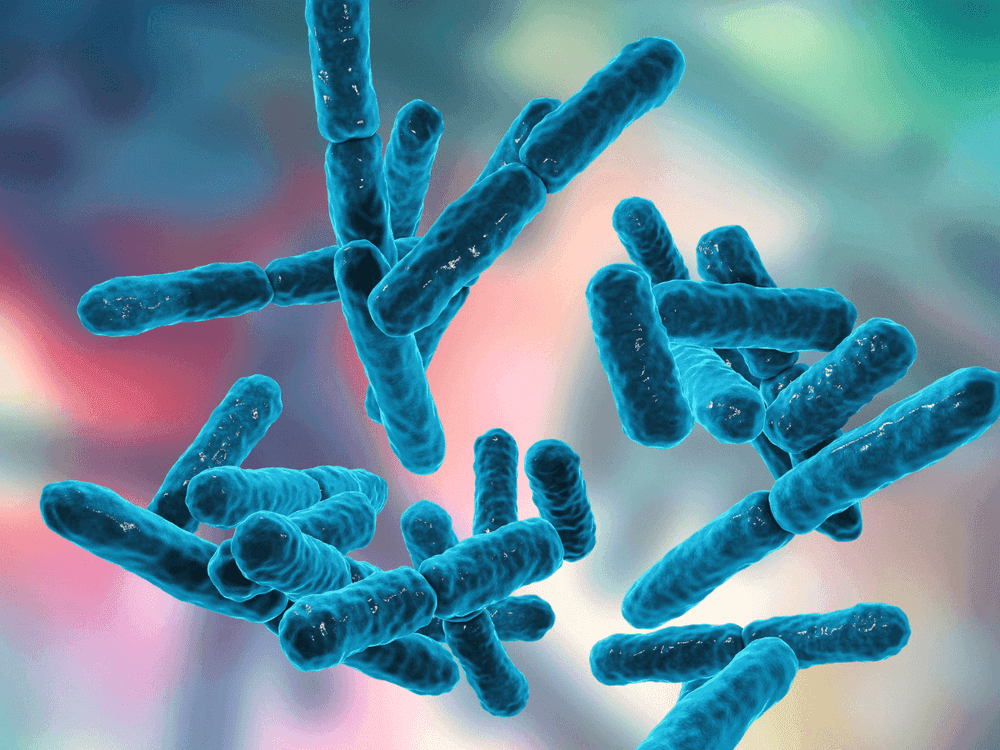 Probiotiques : pourquoi et comment faire une cure ?