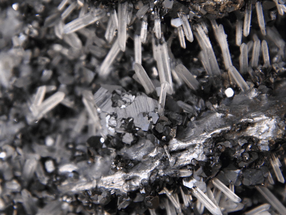 Détox et Métaux lourds